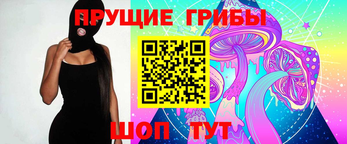 Псилоцибиновые грибы мицелий Нижний Тагил